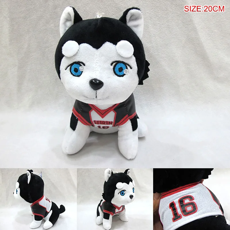 

The basketball player of the sunspot is also number two, puppy 16.
