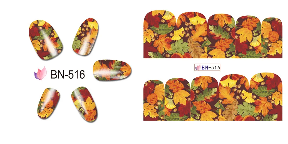 BN516
