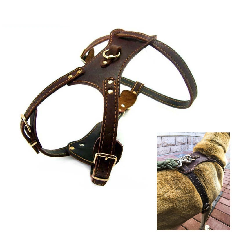 premium dog collars and leashes