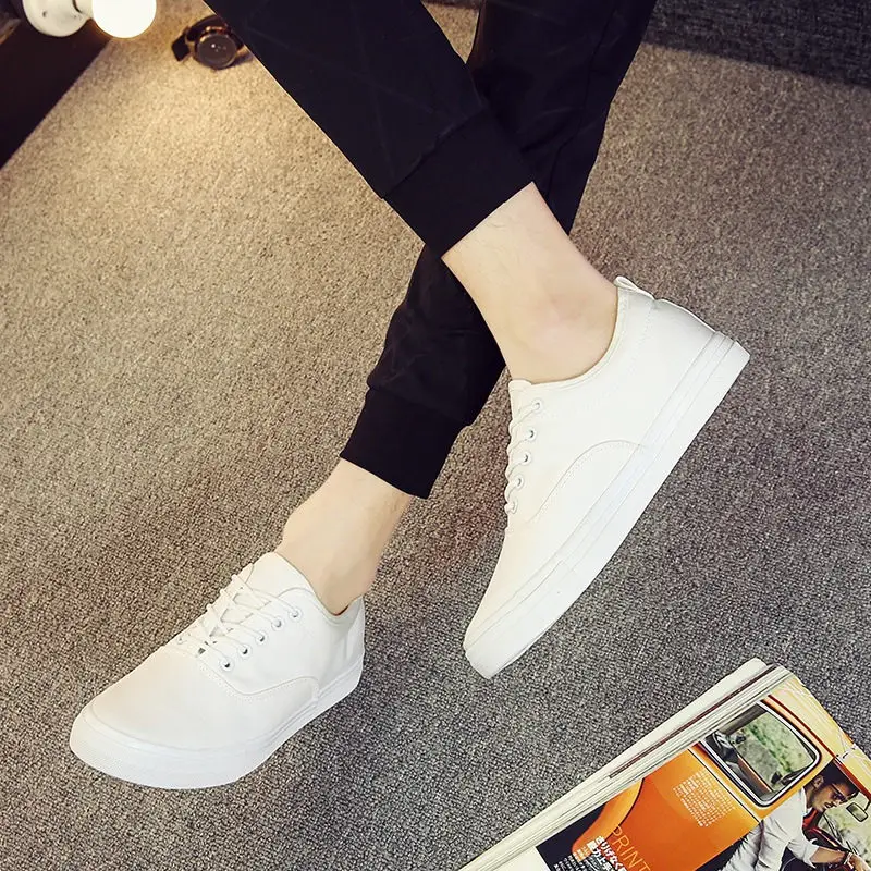 3980124677_1371897451