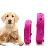 Pet Products