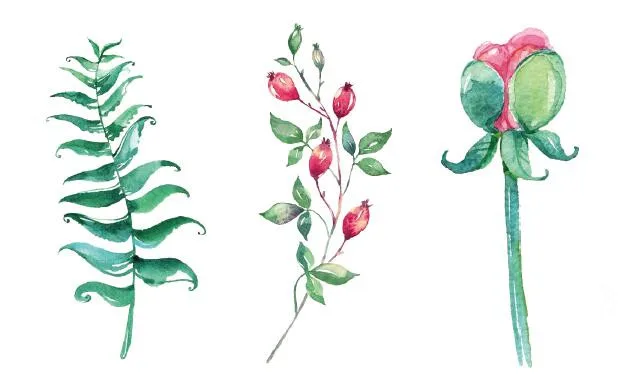 Водонепроницаемые временные фальшивые татуировки наклейки акварельные розовые красные цветы зеленые листья растение Дизайн тела Искусство Макияж инструменты - Цвет: SF3397