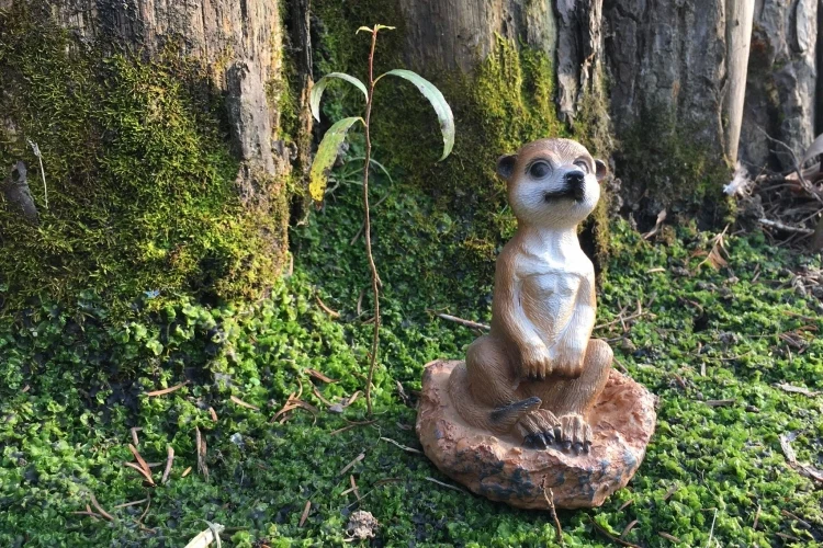 Мини Meerkat смола сад животные открытый искусственный сад украшения