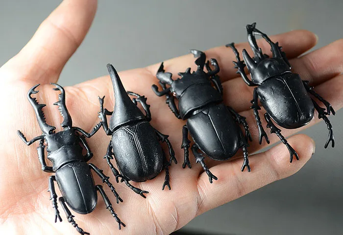 

pvc figure The simulation model toyThe simulation model insect beetle Beetle scarab beetle styles catalpa beetle 8pcs/set