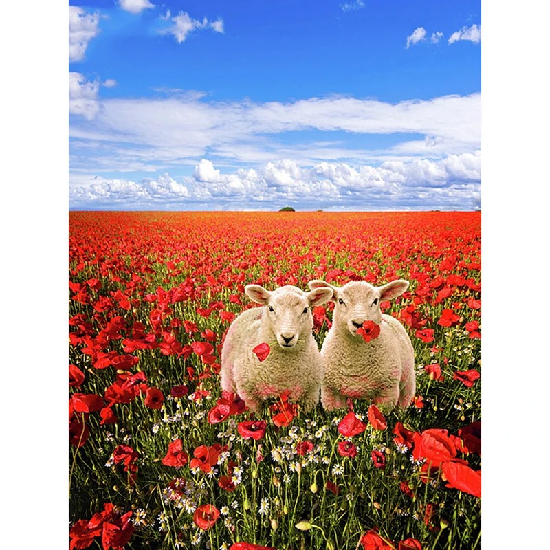 

Diamond Mosaic floral animal sheep Rhinestone Picture DIY Diamond Embroidery Sale 5D Diamond Painting Full Square Gift Drop Ship