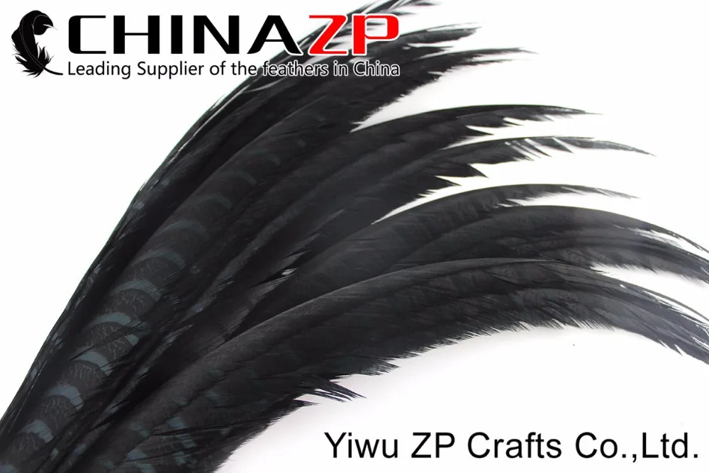 70-80cm zebra pheasant feathers (3)