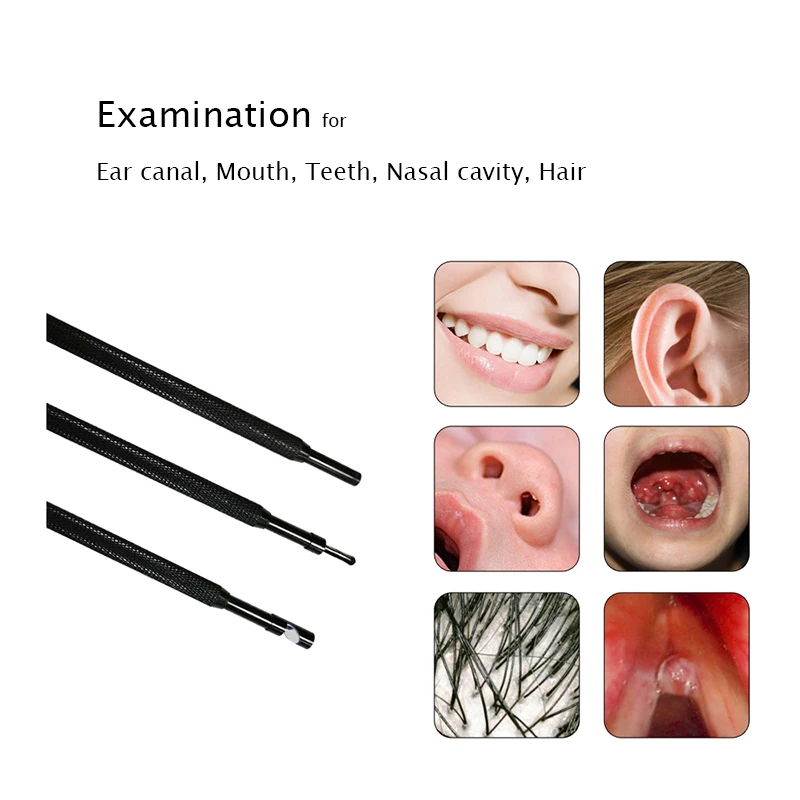 examination