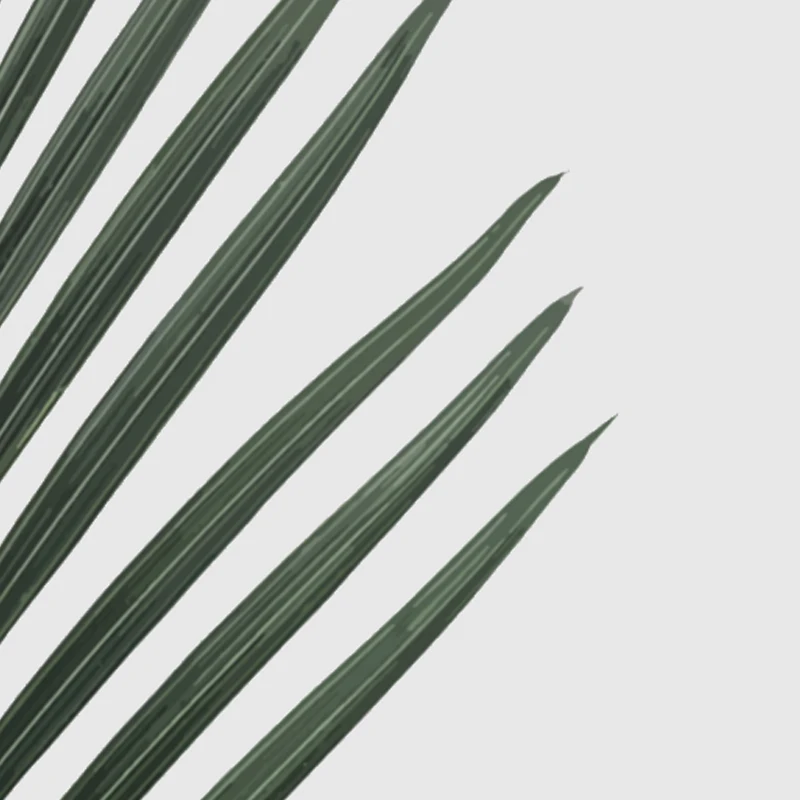 pheonix_3 - 
