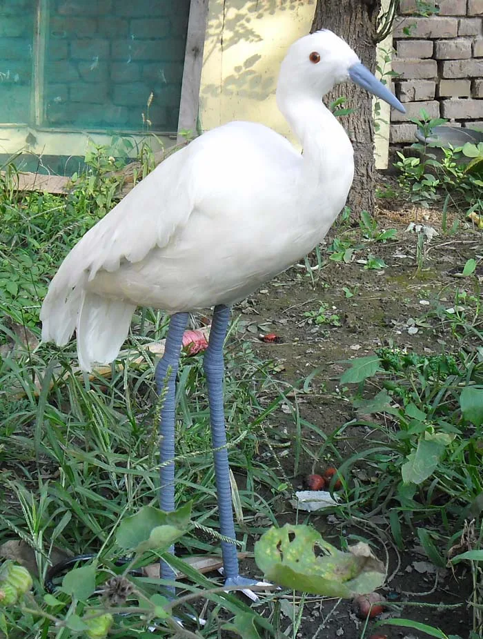 

Белые перья Egret птица Модель Пена и перья Egret Большой 60x45 см ручная работа, украшение для дома и сада подарок a2689