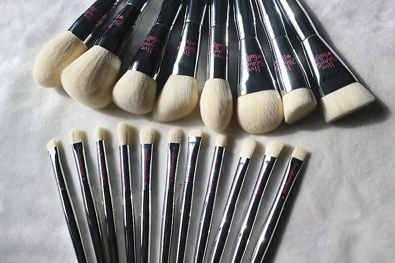 Beli Profesional 19 Pcs Makeup Brush Set LIVE Beauty Sepenuhnya Perak Kuas Kosmetik Kit dengan Tas Wajah Mata Koleksi Makeup