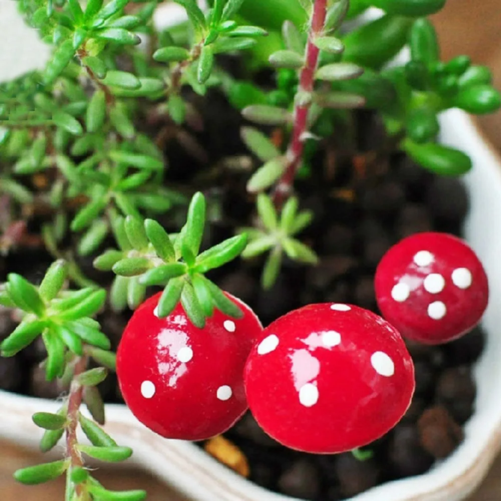 10 шт. мини красный гриб Миниатюрные Горшки для растений бонсай для пейзажа фея DIY кукольный домик украшение сада