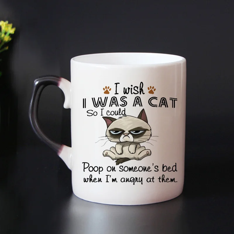 Free shipping funny cats Color Changing Mug Bone china Coffee Mugs ...