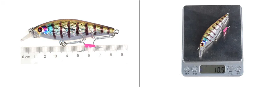 size 