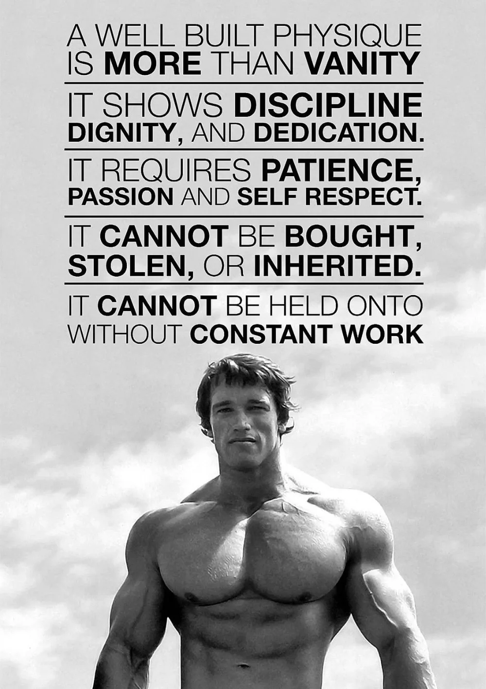 Arnold Schwarzenegger Poster Motivation Gym Retro Work SILK POSTER 24x36inch | Дом и сад
