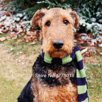 

Needlework DIY Diamond Painting Cross Stitch 5D Full Square Mosaic Diamond Embroidery Airedale Terrier dog Home Decor YG059