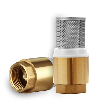 Медный клапан водяная помпа пружинный обратный вертикальный клапан с фильтром