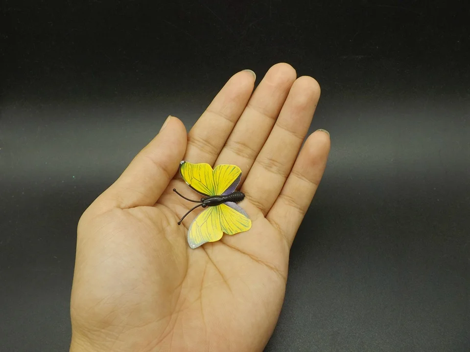 I259-Butterfly (5)
