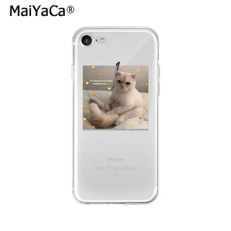 Animal Dog Cat Love You Friend Couple