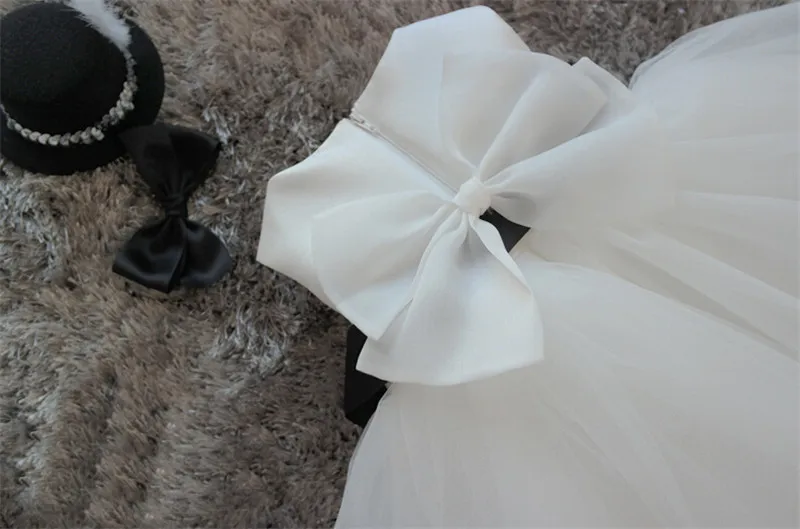 2906518459_1653151300