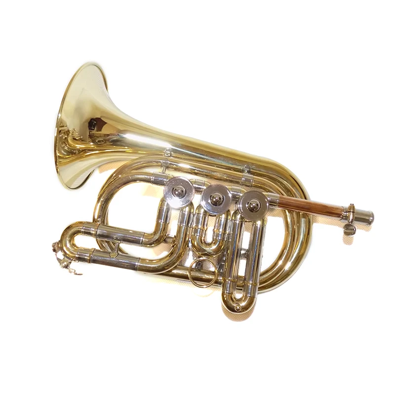 Bb Rotary valves Yellow Brass Body with Hard case and mouthpiece