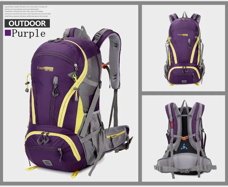 3247615130_317209040_