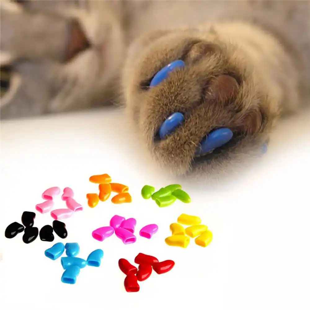 1 Pack Colorful Soft Non Toxic Pet Cat Claw Covers Dog Paws Nail Caps Protective High Quality Nail Covers Pet Accessories Pet Accessories Accessories Petspet Dog Accessories Aliexpress