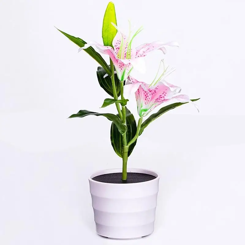 Solar Lights For Potted Plants Solar Lights For Potted Plants