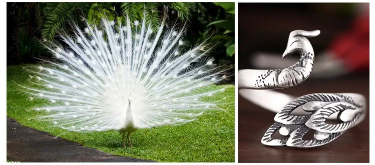 3080855008_1224646136