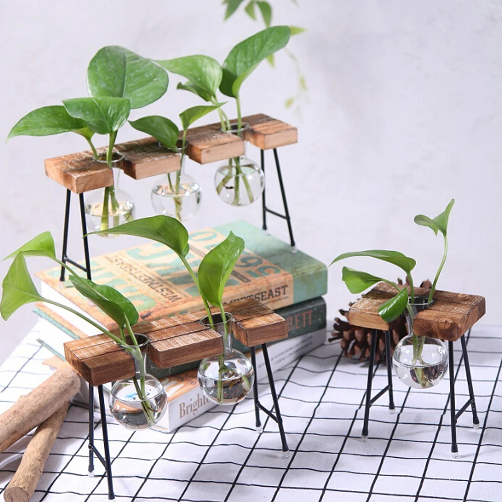 

Glass Bottle Vase Hydroponic Plant Transparent Flower Pots Wooden Frame Coffee Shop Room Decor Table Desk Decoration