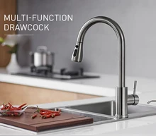 Multi-Function SUS 304 Stainless Steel Kitchen Sink Mixer Tap Swivel Spout Sink Faucet Copper with Pull Out Nozzle Spayer