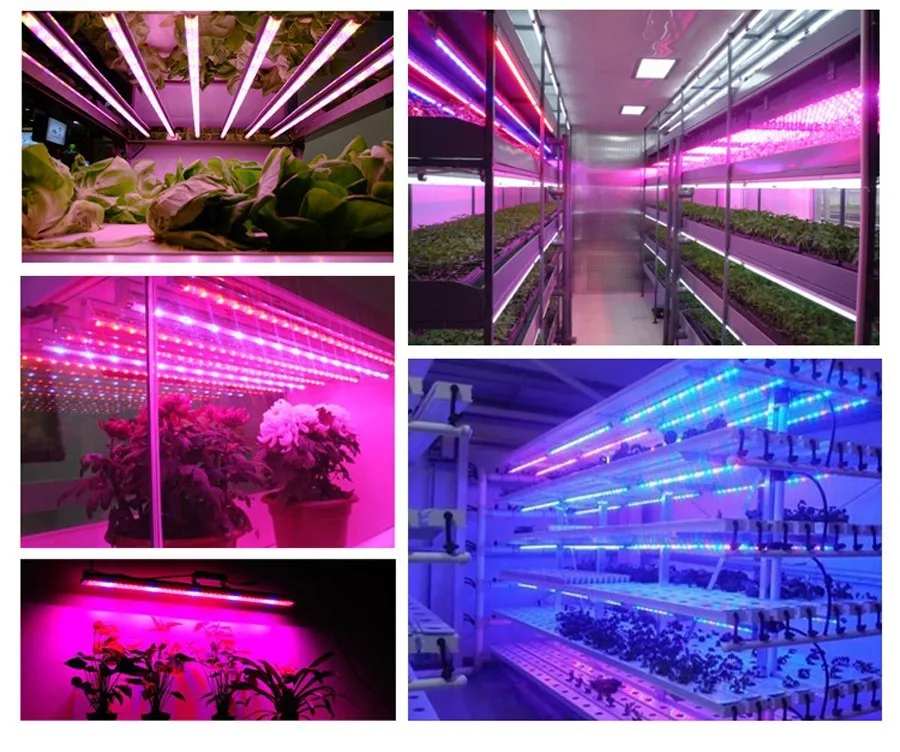 Светодиодный Grow Lights Full Spectrum лампа для длинных ростений красный синий 3:1 4:1 5:1 7:1 8:1 гидропоники apollo Фито Fitolampy для растения Семена