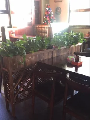 Луи Мода отламывать стенд цветок корыто Ресторан твердый забор экран сетки Открытый карбонизированная деревянная коробка