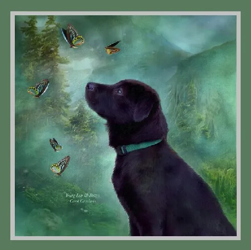 Popular Black Dog Art-Buy Cheap Black Dog Art lots from China Black Dog