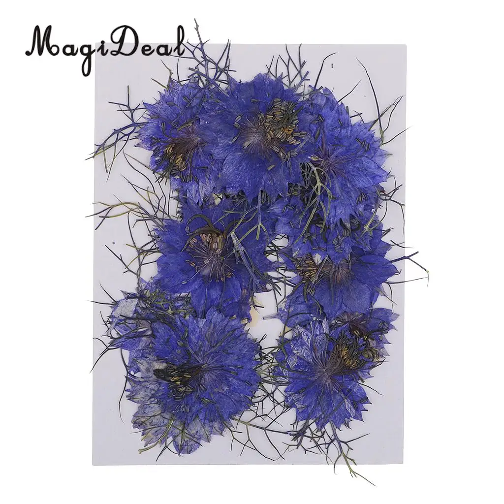 12pcs Love-in-a-mist Natural Pressed Real Dried Flower for Craft DIY Resin Ornaments