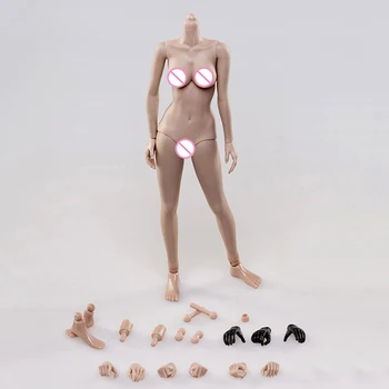

Collection 1/6 Scale Flexible Action Figure Female Body Action Figure Toy FX05B Middle Breast Body Doll Toys