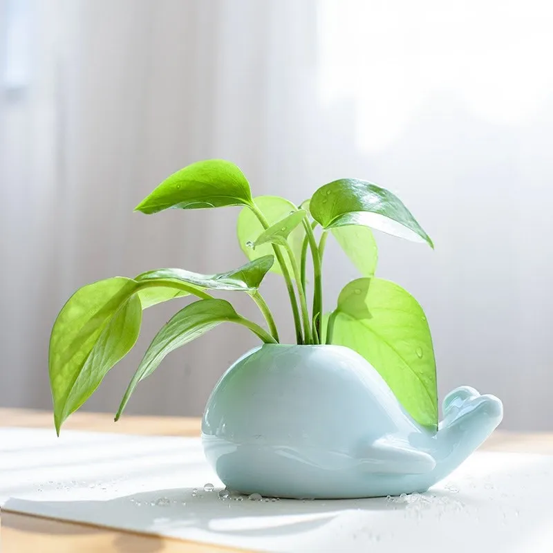 

Cute Mini Ceramic Animal Plant Vase Carton Succulent Planter Desktop Celadon Flower Pot Decor Fairy Home Office Decoration