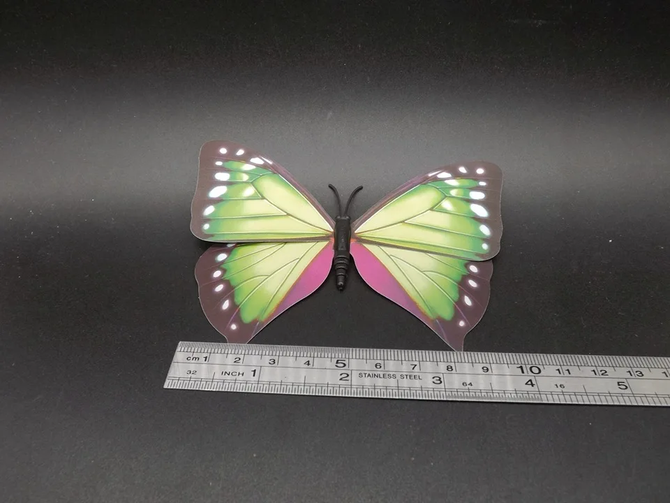 I238-Butterfly (9)