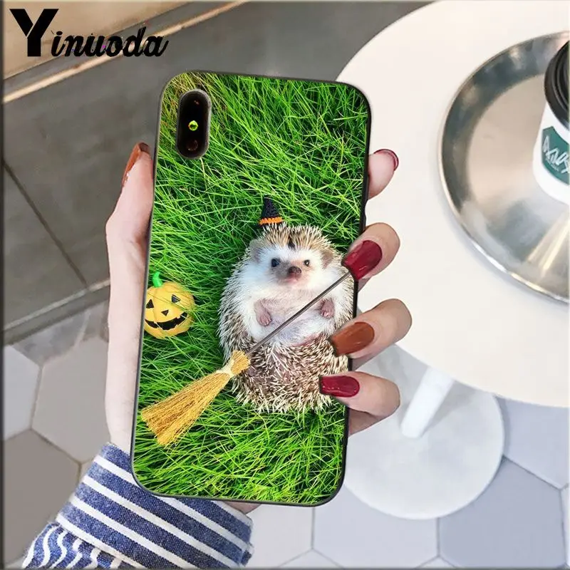 Hedgehog Cute in Teacup Animal Art