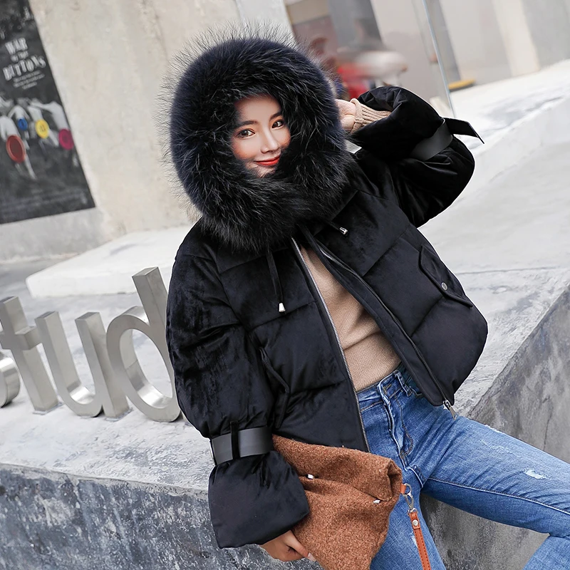 2019 New Short Winter Jacket Women Thickening Warm Outerwear Parkas Female Cotton Padded Loose Coats Hooded