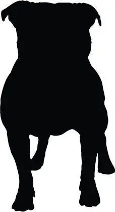 

black french bull dog doggy sticker decal