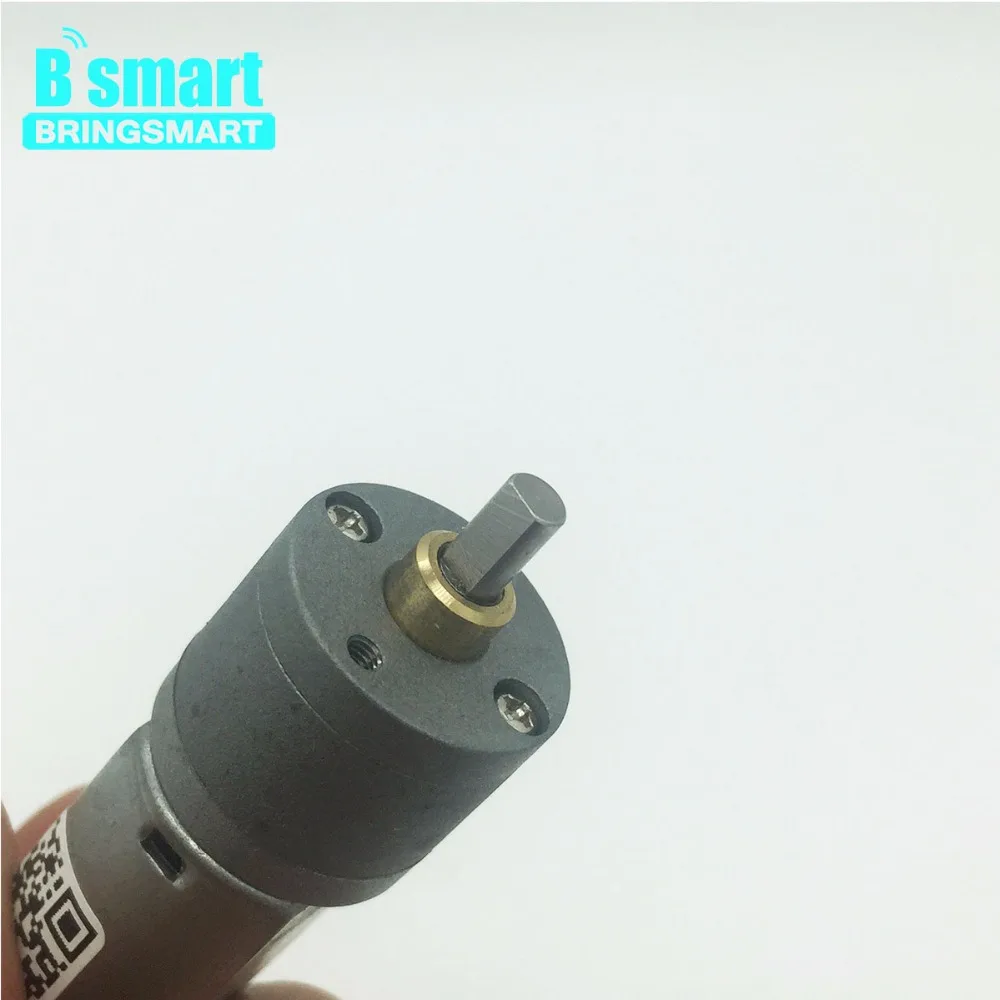 

Bringsmart 6V 12V Diameter Gearbox 24rpm to 480rpm Large Torque Geared Motor Low Voltage Brush Spur Micro DC Gear Motor