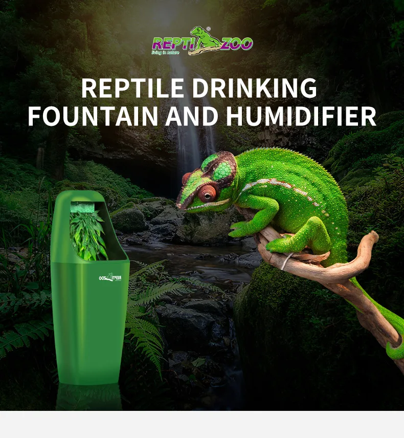 7756262568_1789865512