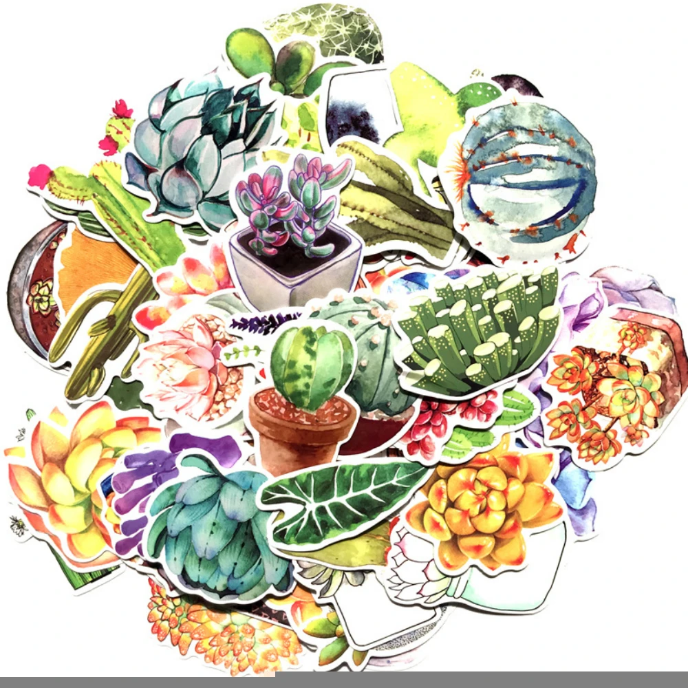 

Aliauto 50pcs/pack Fashion Label Art Graffiti Car Sticker Plants Succulents Decal Motorcycle Suitcase Laptop Helmet Glass Cup