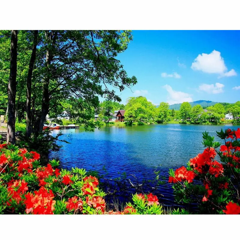 

CHUNXIA Framed DIY Painting By Numbers Landscape Acrylic Painting Modern Picture Home Decor For Living Room 40x50cm RA3393