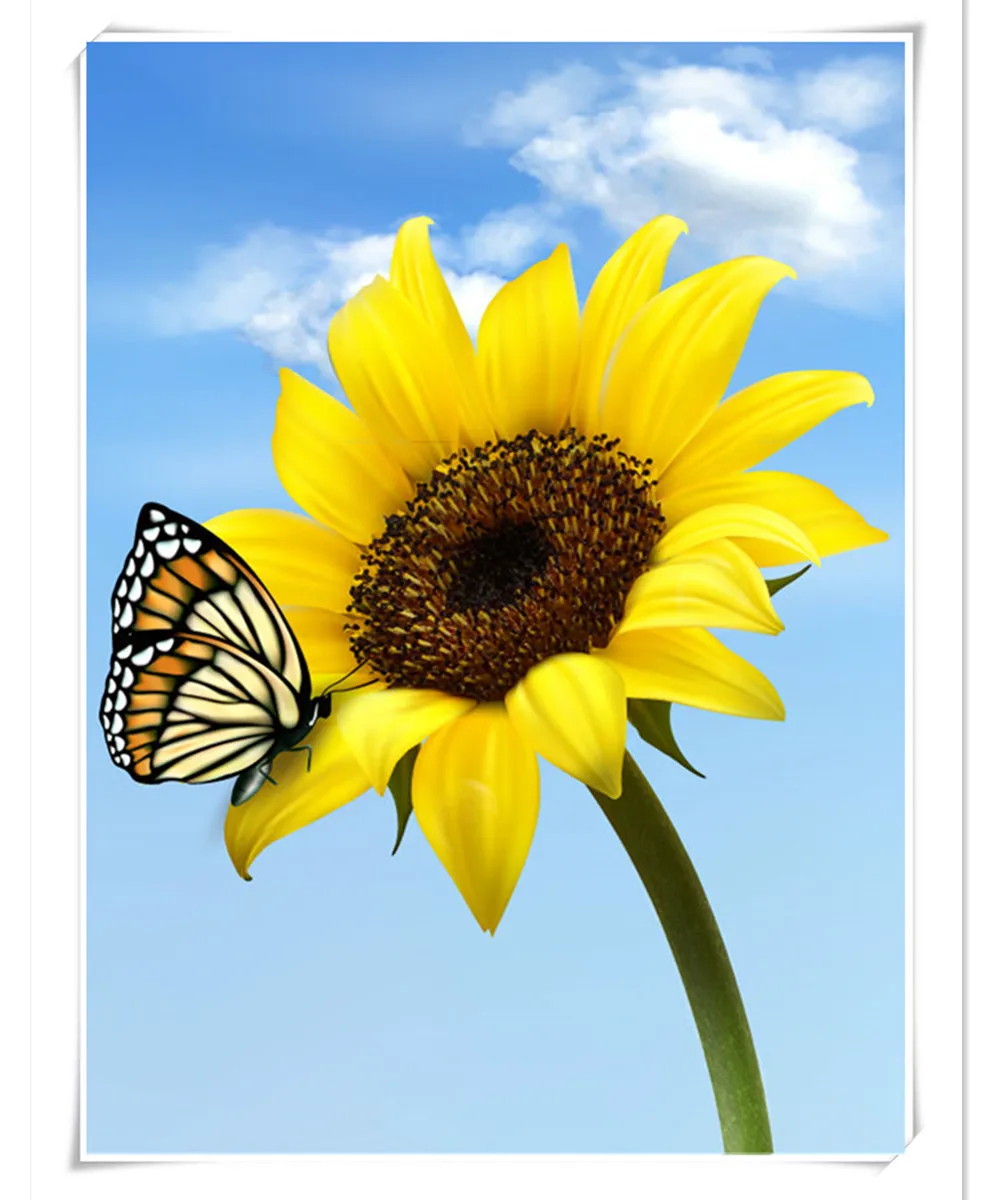 

diy 5d diamond painting Sunflower Butterfly diamond pattern full diamond mosaic full gear diamond embroidery flowers hobby