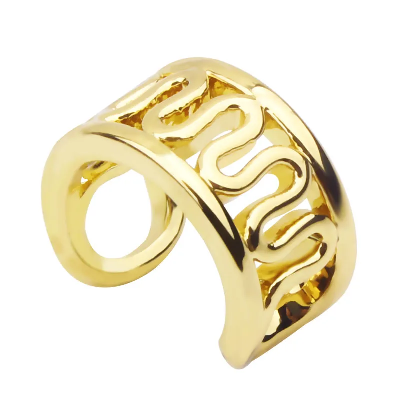 2 шт., кольцо для ушей, поддельные хрящи, клипса, кольцо, серьги-спирали, пирсинг, клипса на замке, кольцо, манжета для ушей, ювелирные изделия для тела, Женское кольцо - Окраска металла: 2025-gold