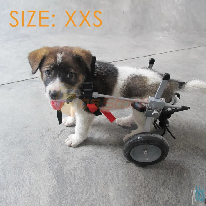 Инвалидная коляска для кошек/собак, инвалидная коляска для маленьких собак, корзина для щенка, кошек