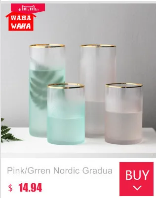 Criativo nordic vasos de vidro hidroponia planta