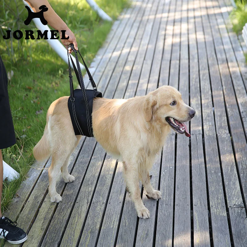 

Dog Lift Support Rehabilitation Harness For Canine Aid Assist Sling To Help With Mobility of Old And Young Dogs With Weak Legs