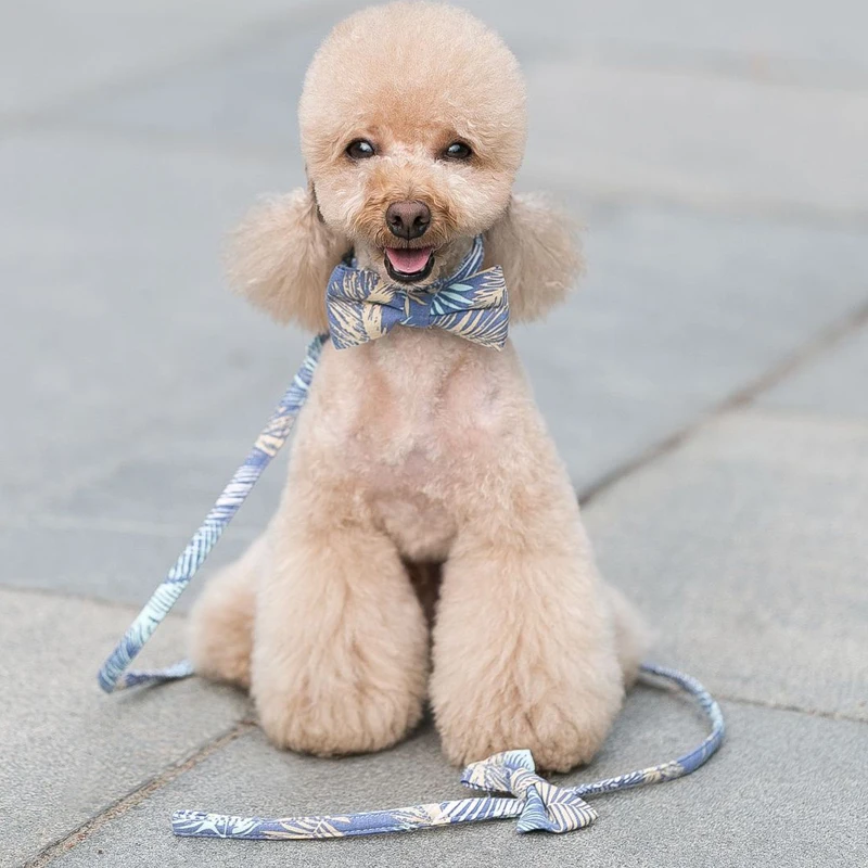 

Feather pattern Pet Dog Harness Leash Set Dog Vest for Small Dogs Bow Tie Puppy Harness Princess Chest Strap For Teddy Chihuahu
